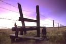 the fence